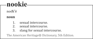 nookie noo͝k′ē noun 	1.	sexual intercourse. 	2.	sexual intercourse. 	3.	slang for sexual intercourse. The American Heritage® Dictionary, 5th Edition.