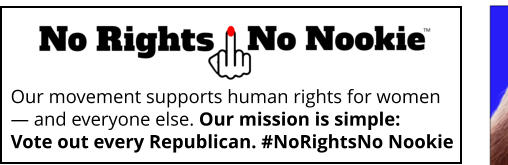 Our movement supports human rights for women               — and everyone else. Our mission is simple: Vote out every Republican. #NoRightsNo Nookie